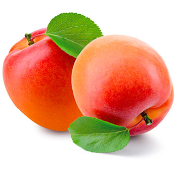 Frutta Fresca - Apofruit
